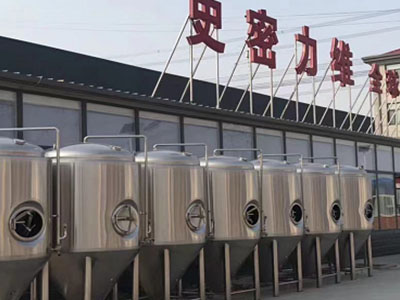 镇赉精酿啤酒设备厂—如何判断精酿啤酒设备的密封件需要更换？